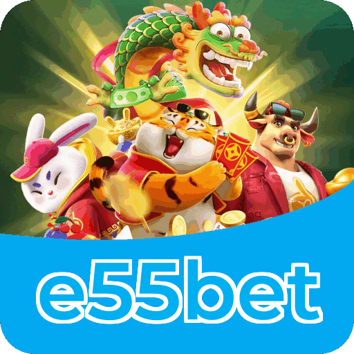 Verificação KYC e55bet